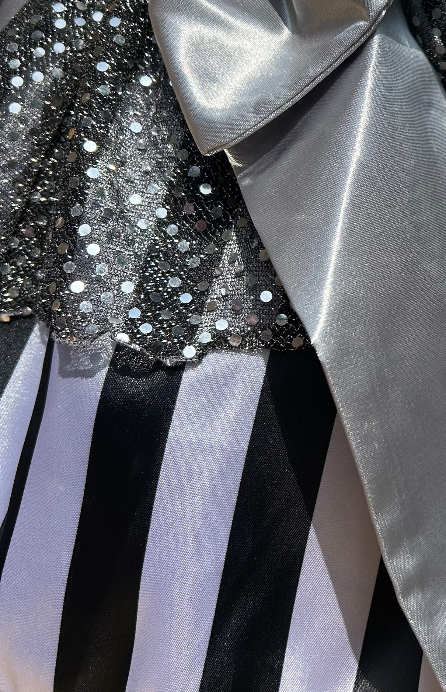 Steamboatin' Through the Miles Tutu Running Skirt