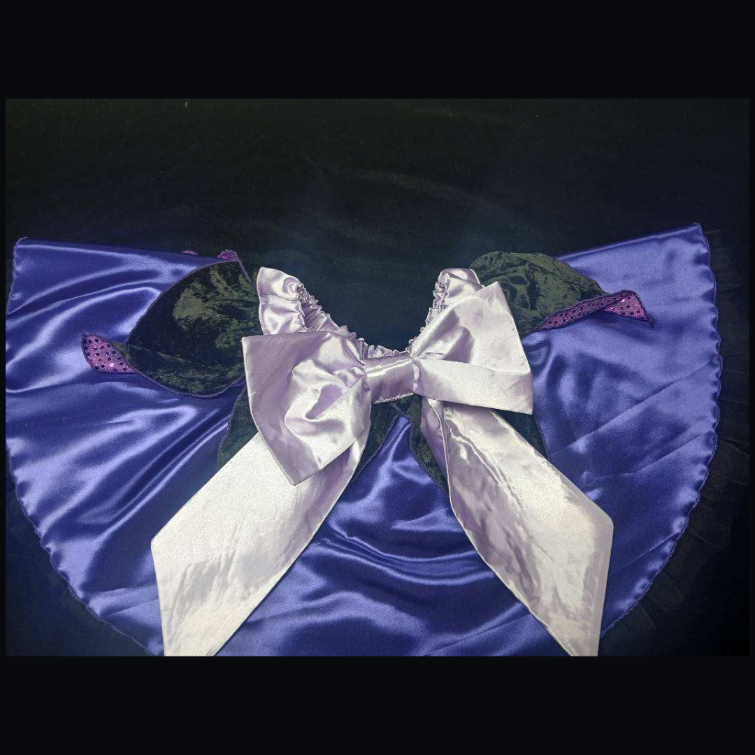 Poor Unfortunate Twirls Tutu Skirt